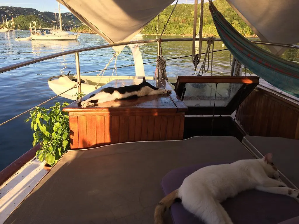 Botel St Thomas Stay On Sailboat Ragamuffin Incl Meals Water Toys Water Island