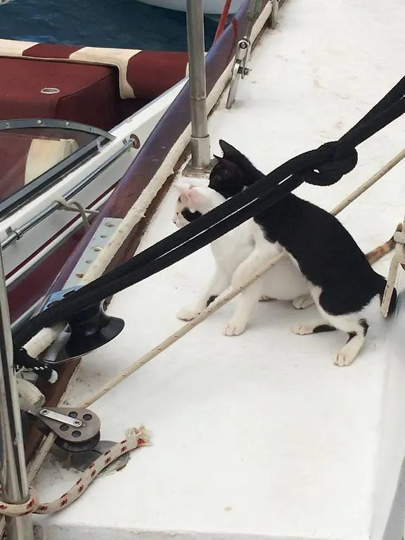 St Thomas Stay On Sailboat Ragamuffin Incl Meals Water Toys Water Island