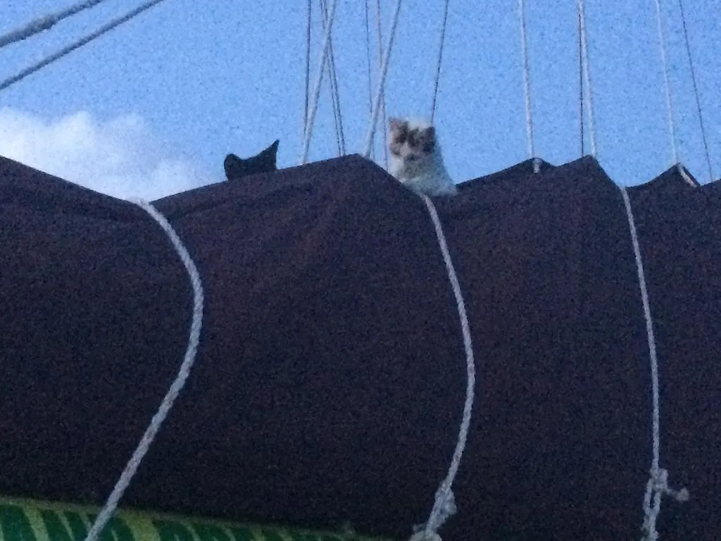 St Thomas Stay On Sailboat Ragamuffin Incl Meals Water Toys Water Island Botel