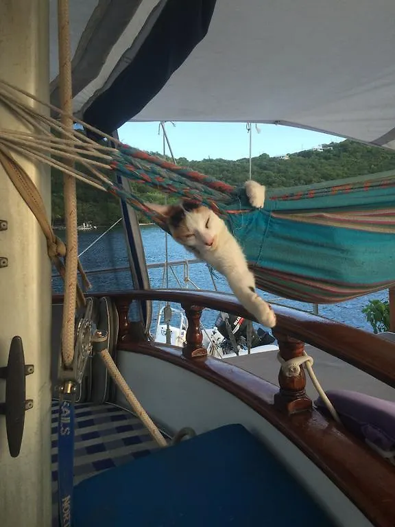 Hotel en barco St Thomas Stay On Sailboat Ragamuffin Incl Meals Water Toys Water Island